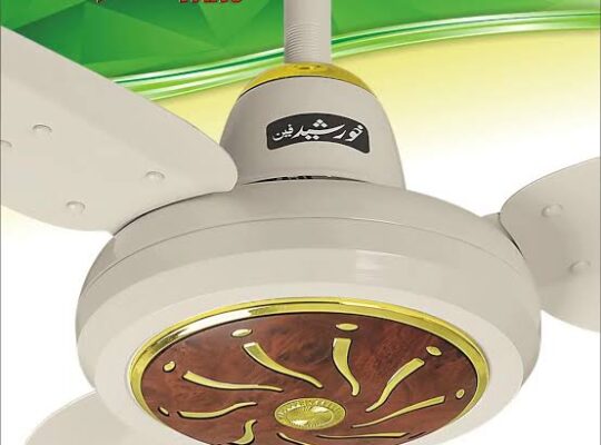 Ac DC inverter ceiling fan