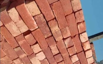 Eeant bricks for sale in Borywala 03496093303