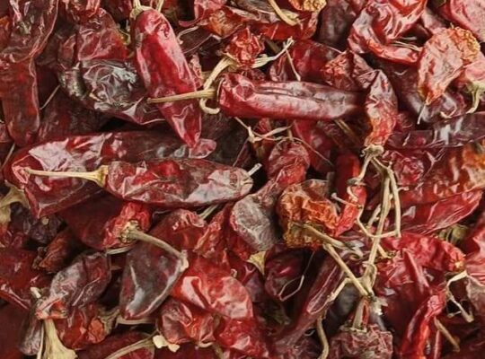 Red  chili’s  for sale in lodhran03083366665