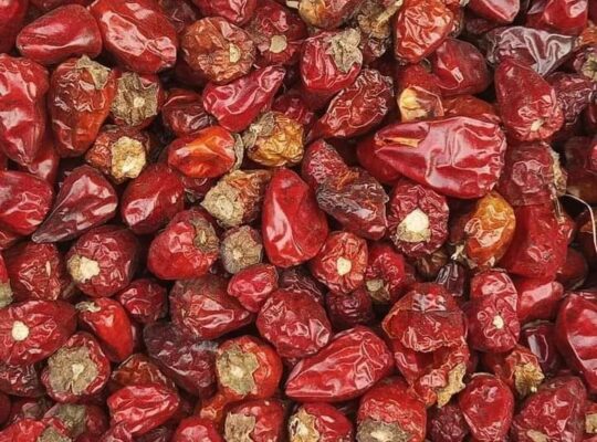 Red  chili’s  for sale in lodhran03083366665