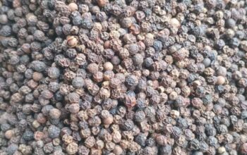 Black pepper for sale in FSB. 03216631020